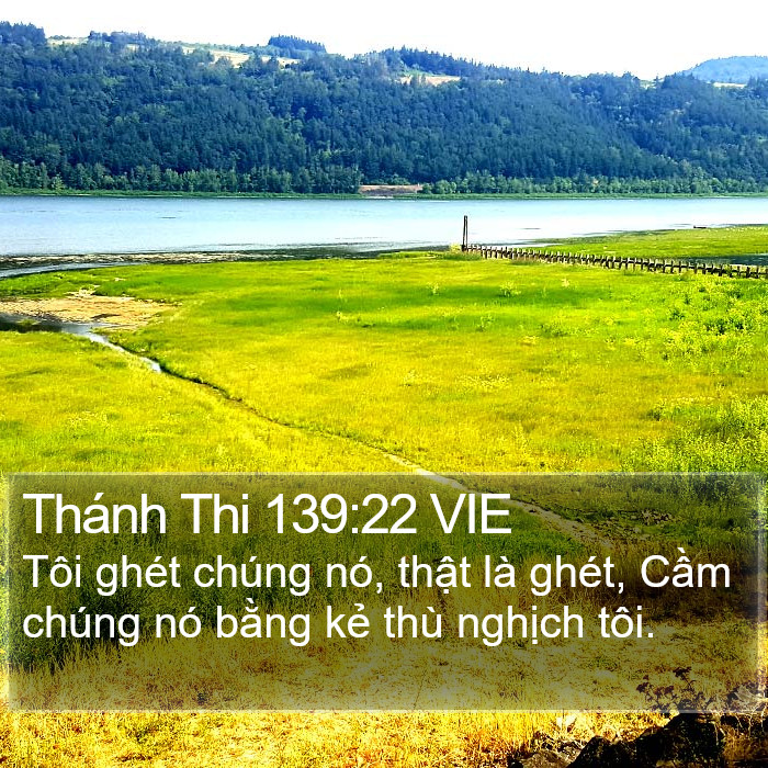 Thánh Thi 139:22 VIE Bible Study