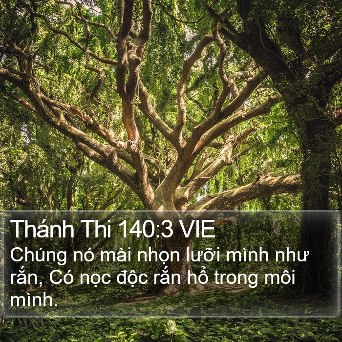 Thánh Thi 140:3 VIE Bible Study