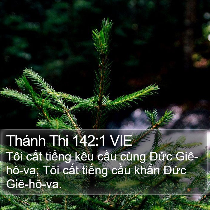 Thánh Thi 142:1 VIE Bible Study
