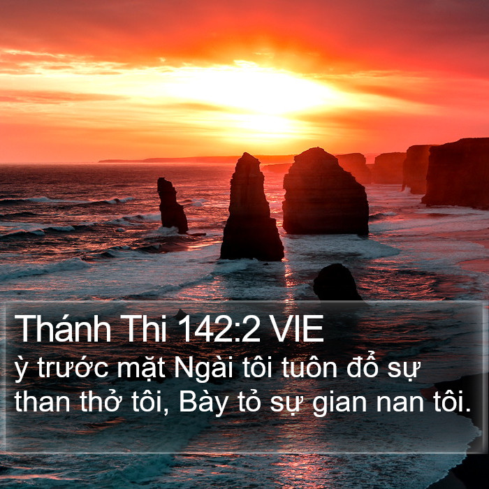 Thánh Thi 142:2 VIE Bible Study