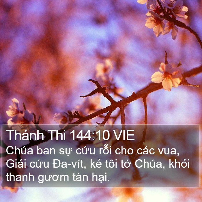 Thánh Thi 144:10 VIE Bible Study