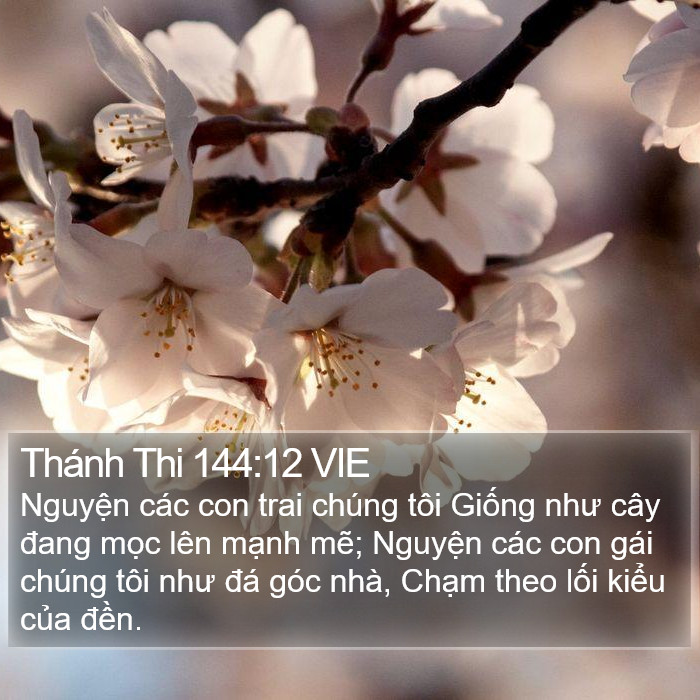 Thánh Thi 144:12 VIE Bible Study