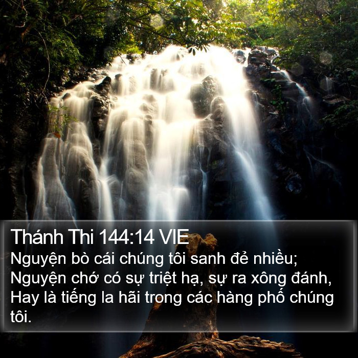 Thánh Thi 144:14 VIE Bible Study