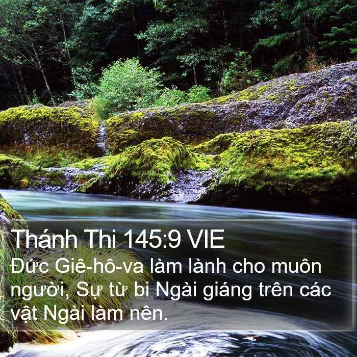 Thánh Thi 145:9 VIE Bible Study