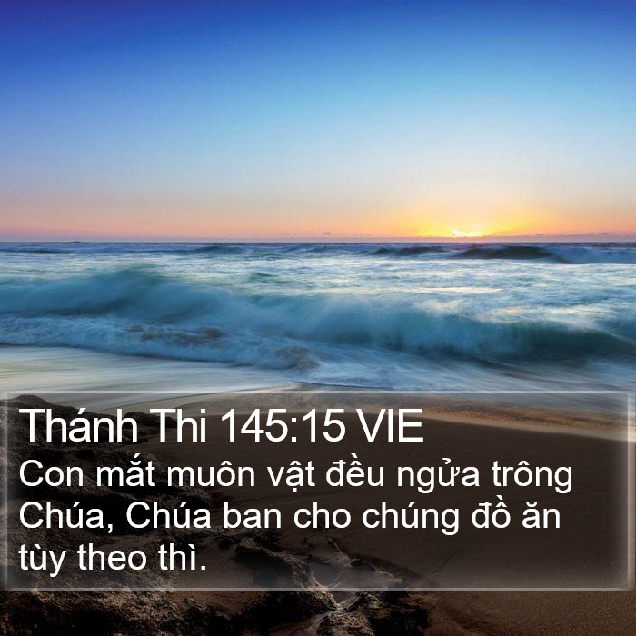 Thánh Thi 145:15 VIE Bible Study