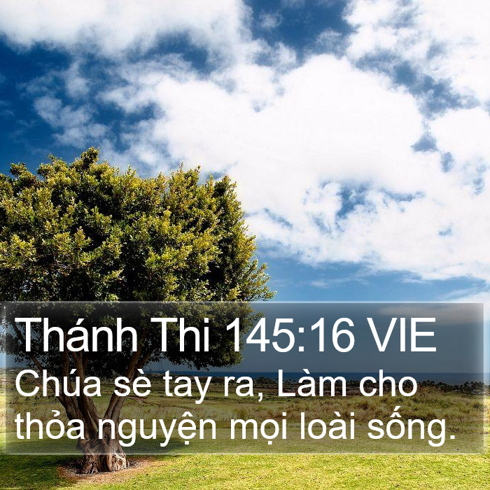 Thánh Thi 145:16 VIE Bible Study