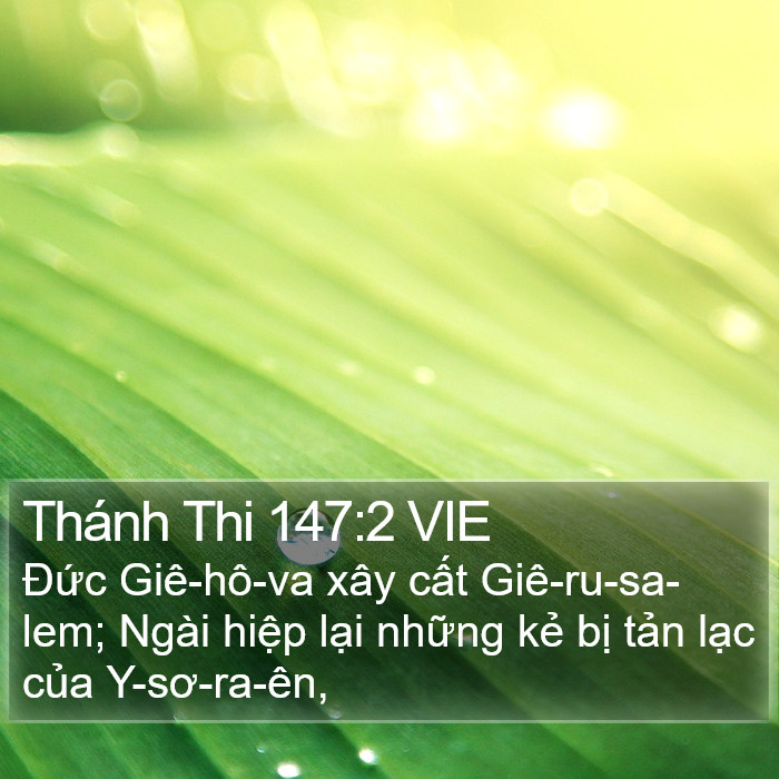 Thánh Thi 147:2 VIE Bible Study