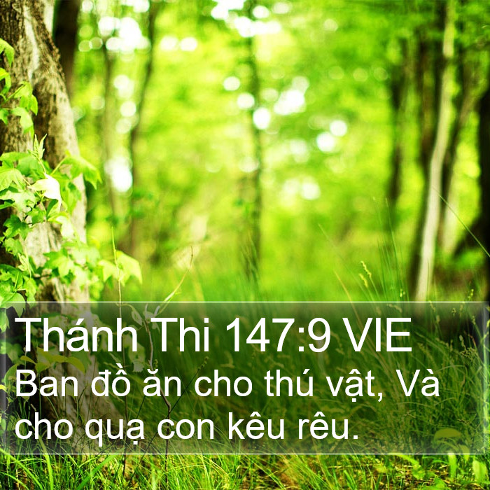 Thánh Thi 147:9 VIE Bible Study