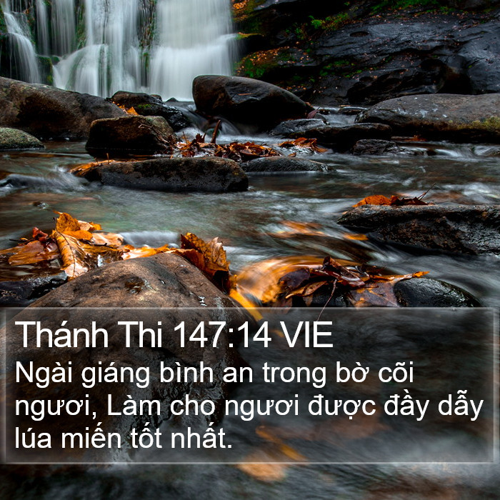 Thánh Thi 147:14 VIE Bible Study