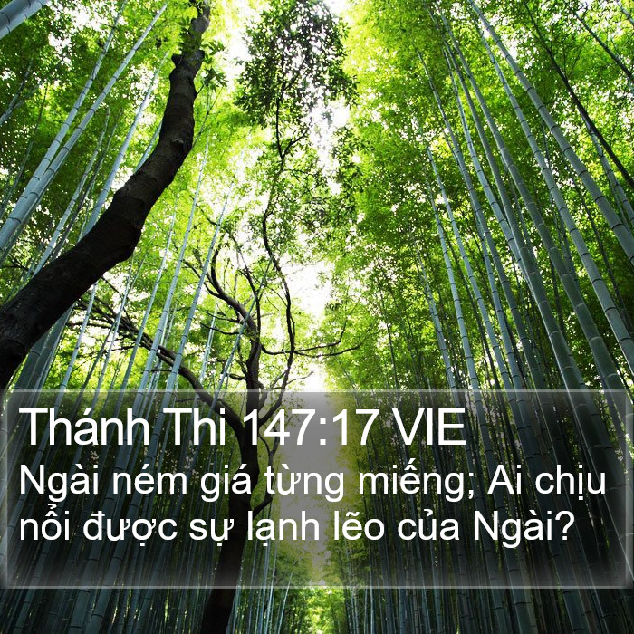 Thánh Thi 147:17 VIE Bible Study