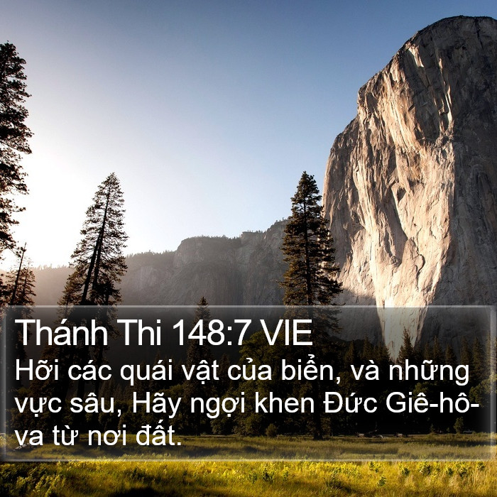 Thánh Thi 148:7 VIE Bible Study