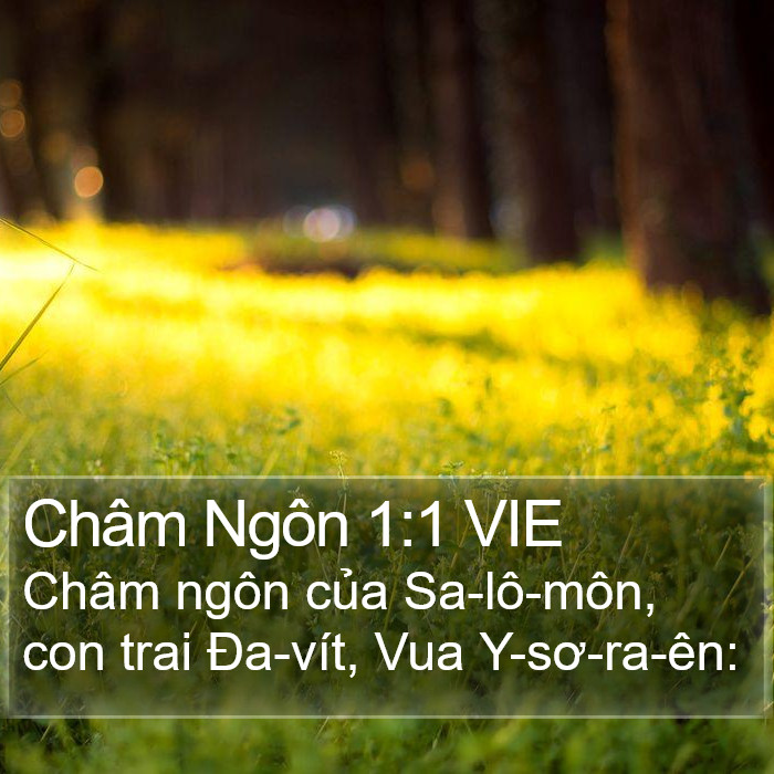 Châm Ngôn 1:1 VIE Bible Study