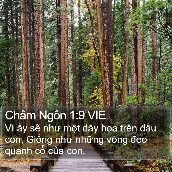 Châm Ngôn 1:9 VIE Bible Study