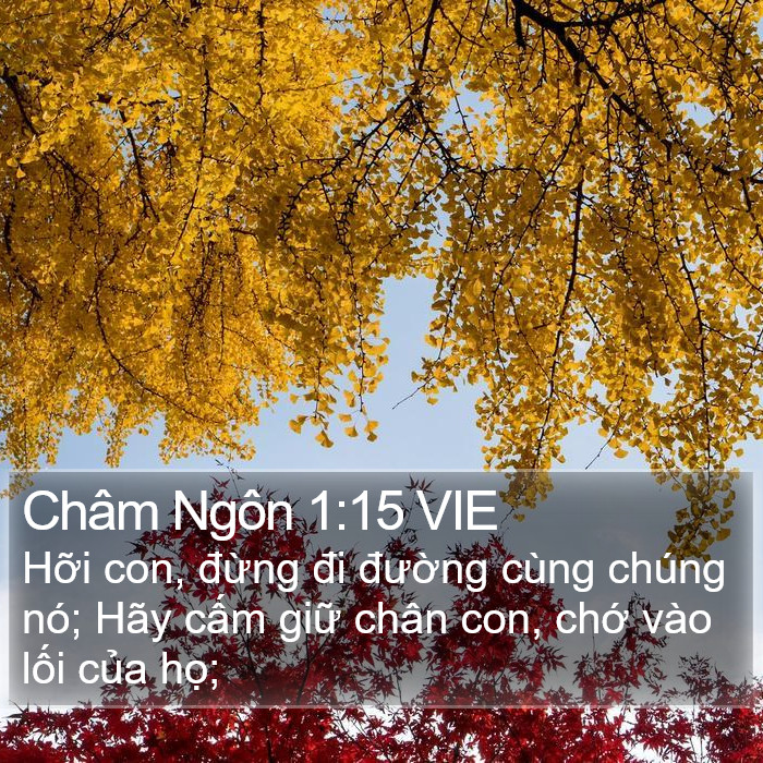 Châm Ngôn 1:15 VIE Bible Study