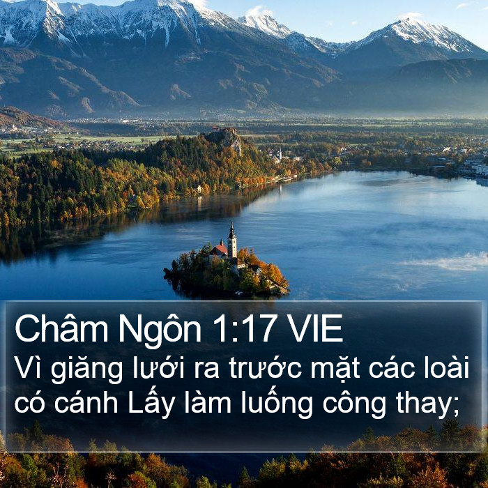 Châm Ngôn 1:17 VIE Bible Study