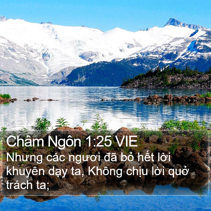 Châm Ngôn 1:25 VIE Bible Study