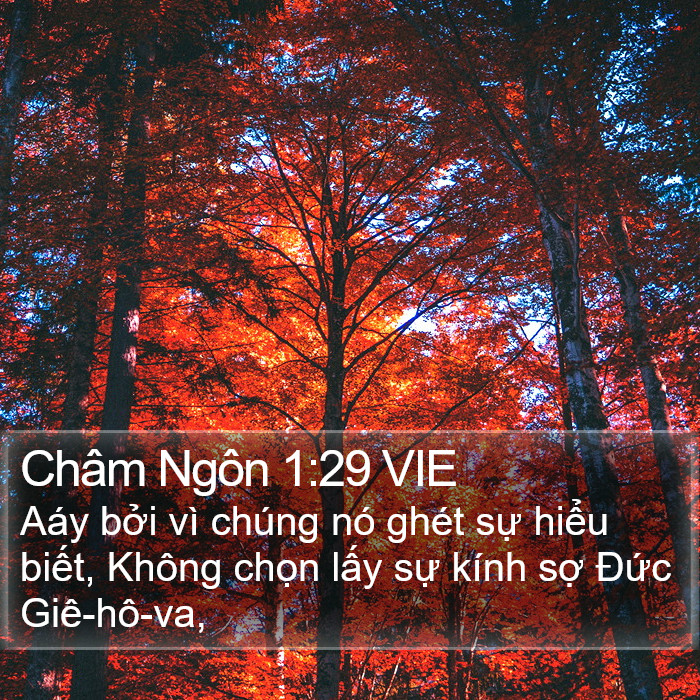 Châm Ngôn 1:29 VIE Bible Study