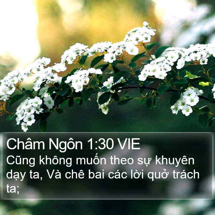 Châm Ngôn 1:30 VIE Bible Study