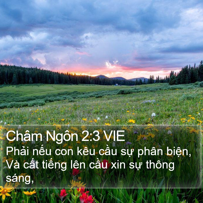 Châm Ngôn 2:3 VIE Bible Study