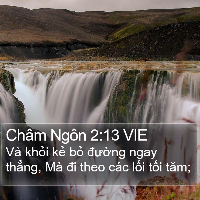 Châm Ngôn 2:13 VIE Bible Study