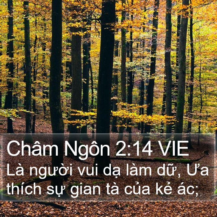 Châm Ngôn 2:14 VIE Bible Study