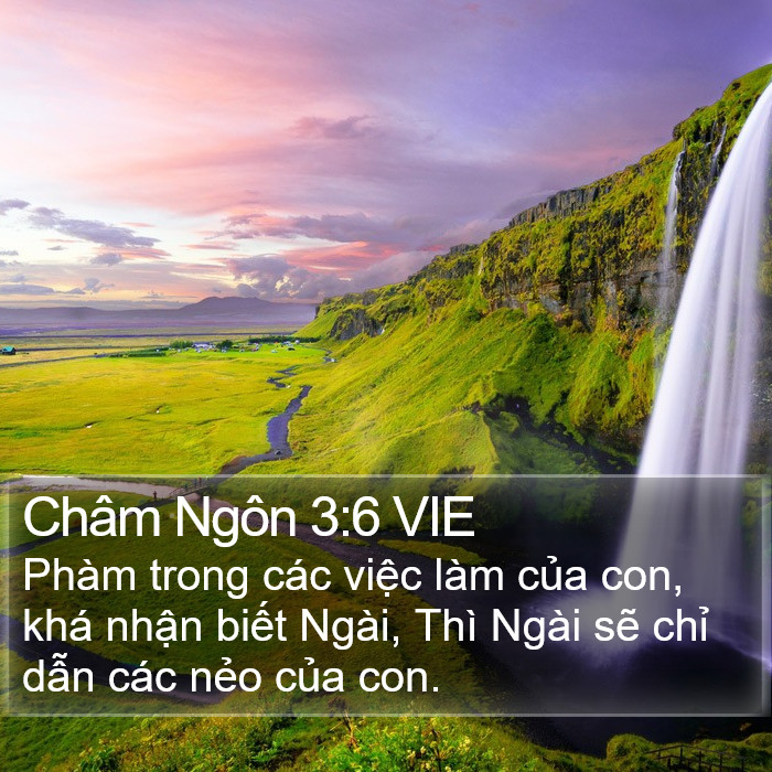 Châm Ngôn 3:6 VIE Bible Study