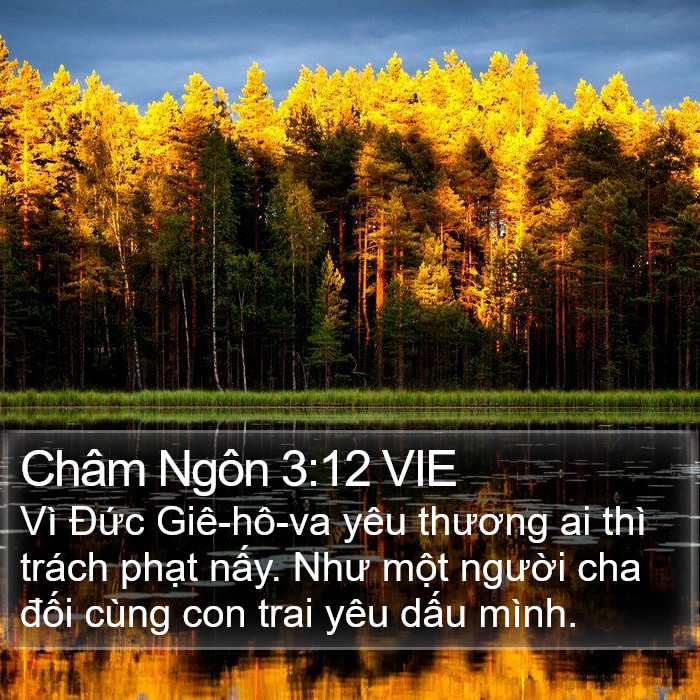 Châm Ngôn 3:12 VIE Bible Study