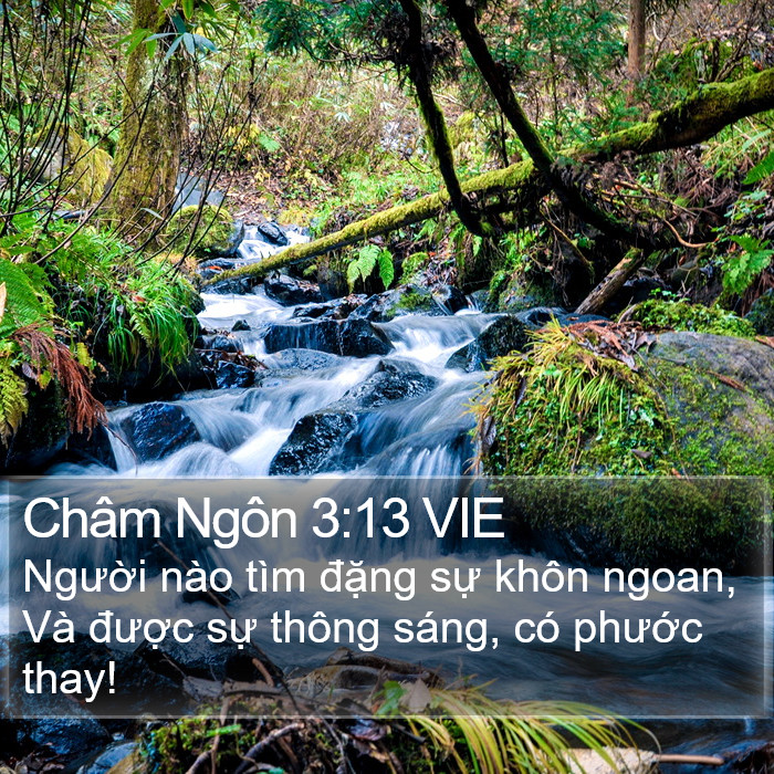 Châm Ngôn 3:13 VIE Bible Study