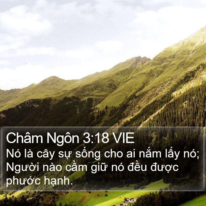 Châm Ngôn 3:18 VIE Bible Study