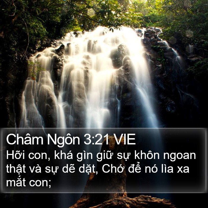 Châm Ngôn 3:21 VIE Bible Study