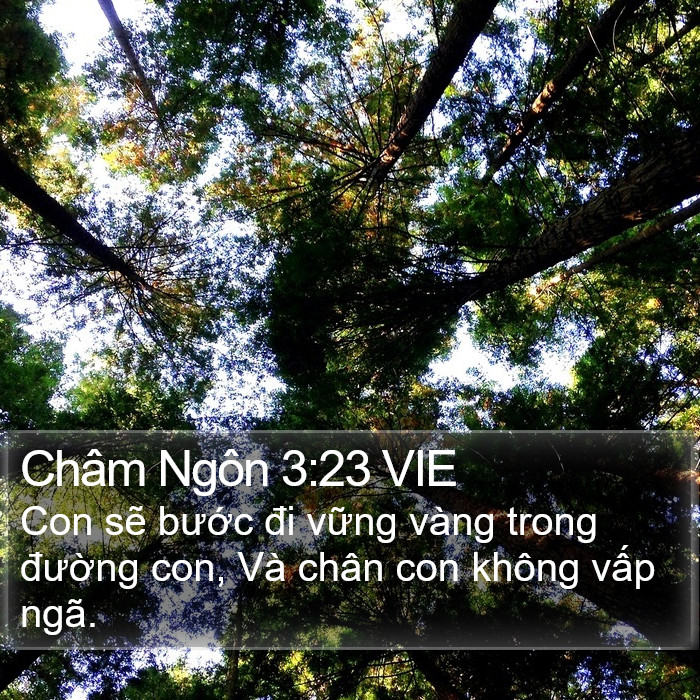 Châm Ngôn 3:23 VIE Bible Study