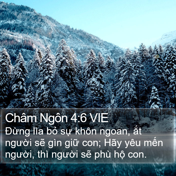 Châm Ngôn 4:6 VIE Bible Study