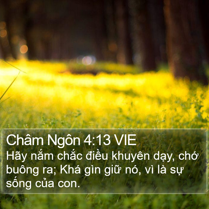 Châm Ngôn 4:13 VIE Bible Study