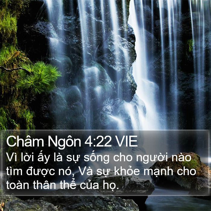 Châm Ngôn 4:22 VIE Bible Study