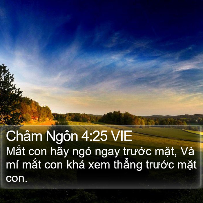 Châm Ngôn 4:25 VIE Bible Study