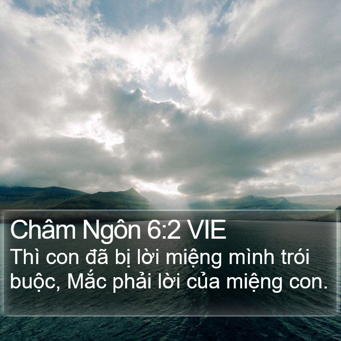 Châm Ngôn 6:2 VIE Bible Study