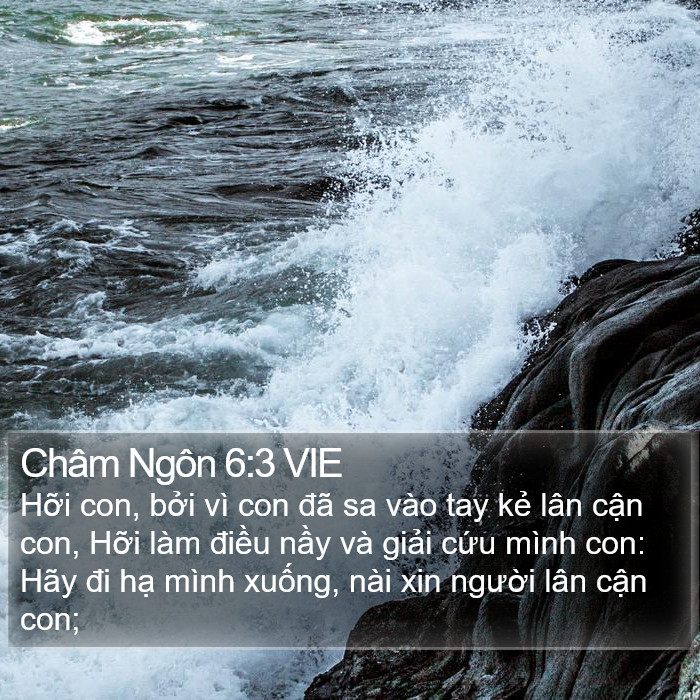 Châm Ngôn 6:3 VIE Bible Study