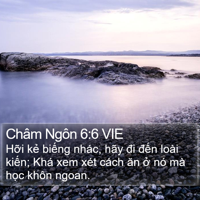 Châm Ngôn 6:6 VIE Bible Study