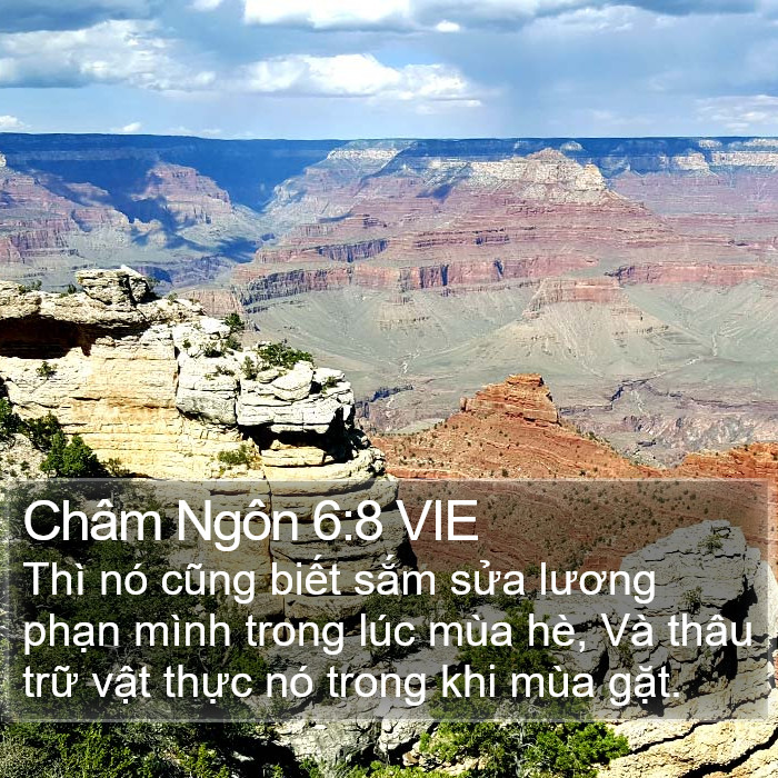 Châm Ngôn 6:8 VIE Bible Study