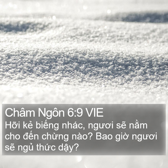 Châm Ngôn 6:9 VIE Bible Study