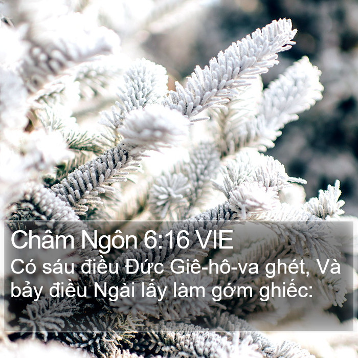 Châm Ngôn 6:16 VIE Bible Study