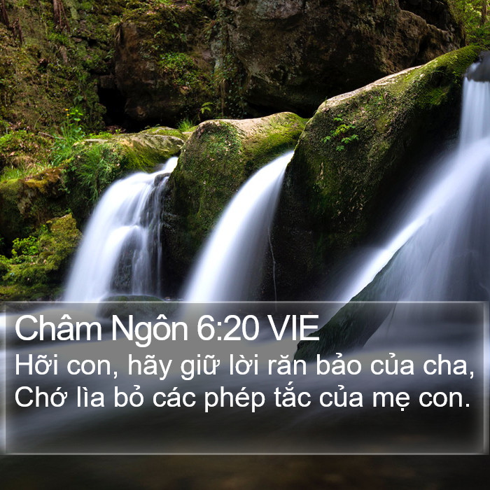 Châm Ngôn 6:20 VIE Bible Study