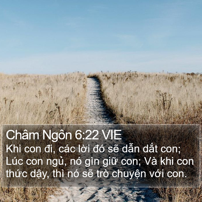 Châm Ngôn 6:22 VIE Bible Study