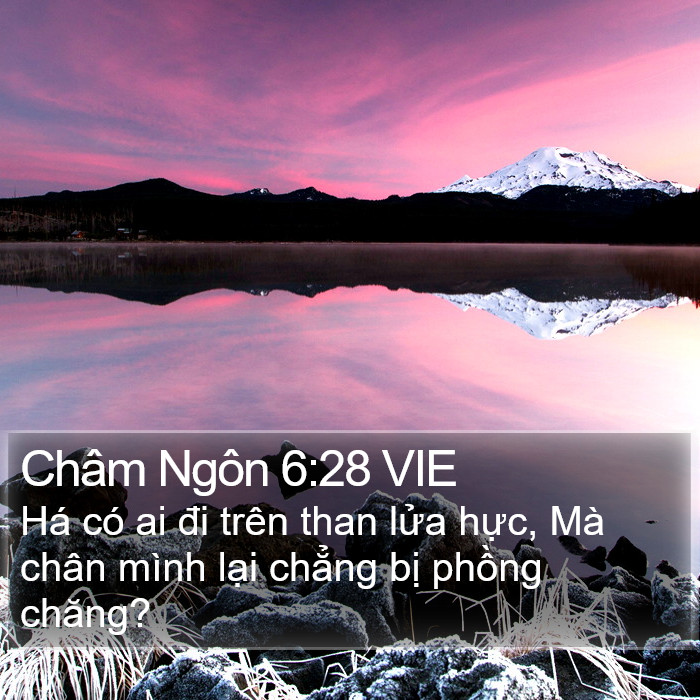 Châm Ngôn 6:28 VIE Bible Study