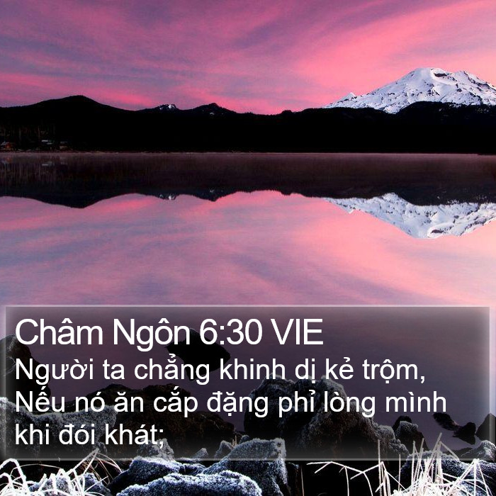 Châm Ngôn 6:30 VIE Bible Study