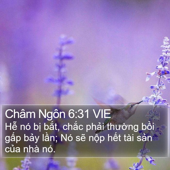 Châm Ngôn 6:31 VIE Bible Study