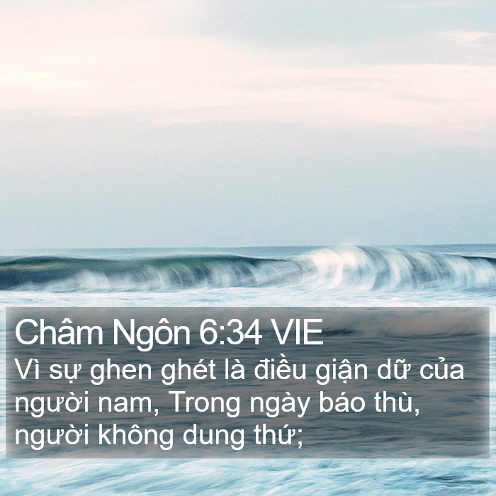 Châm Ngôn 6:34 VIE Bible Study