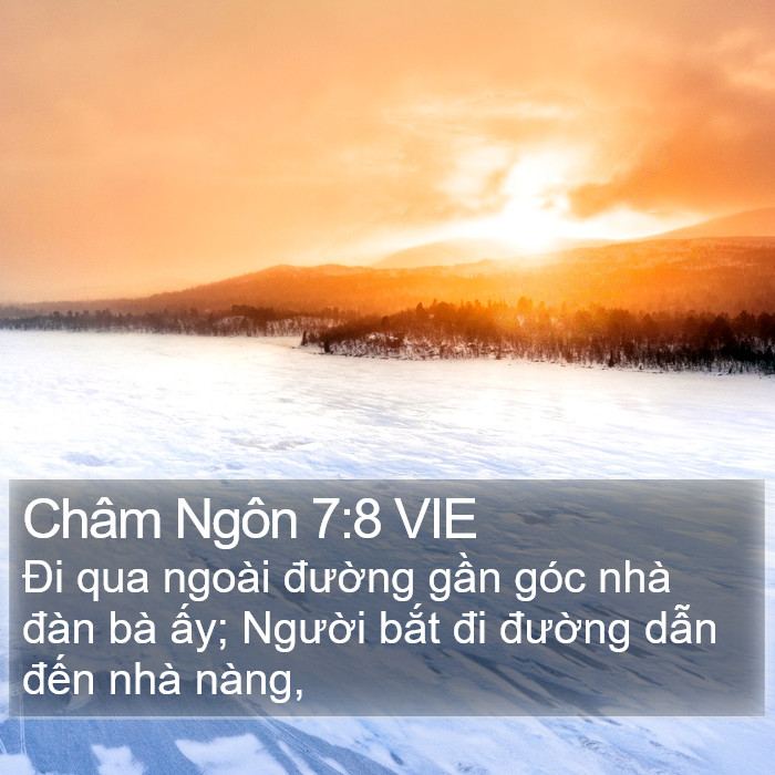 Châm Ngôn 7:8 VIE Bible Study