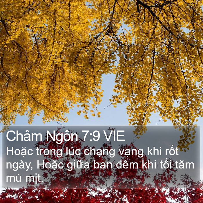 Châm Ngôn 7:9 VIE Bible Study