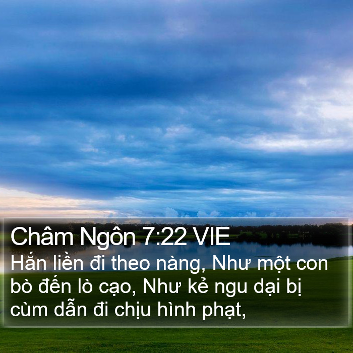 Châm Ngôn 7:22 VIE Bible Study